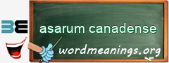 WordMeaning blackboard for asarum canadense